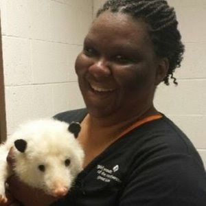 Meet your Posher, Ingrid